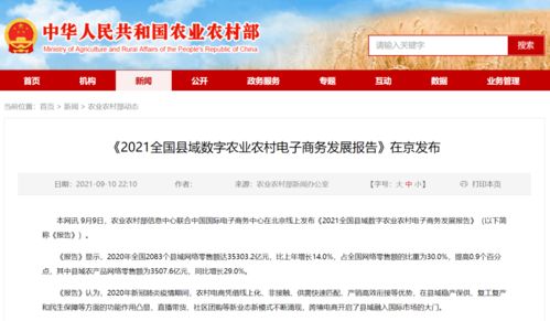 饒平縣躋身全國縣域農(nóng)產(chǎn)品網(wǎng)絡(luò)零售百強，數(shù)字賦能農(nóng)業(yè)新篇章